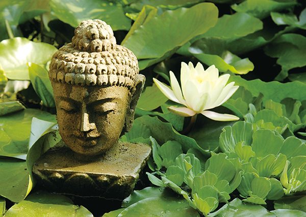 十法界的般若智慧