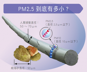 PM2.5 到底有多小