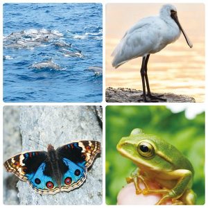 台灣有豐富的生態旅遊資源