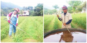 種出屬於故鄉的豐美和祝福