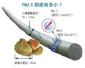 PM2.5 到底有多小？