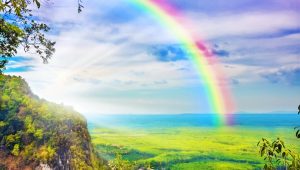 禪修釋疑-心門即可通佛國