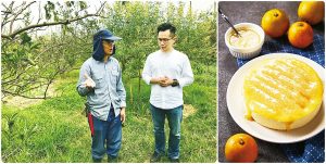 乳酪蛋糕與在地小農合作