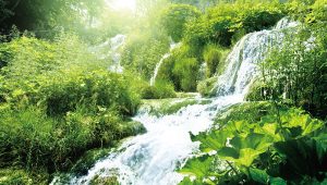 禪醫療養生-生命之水