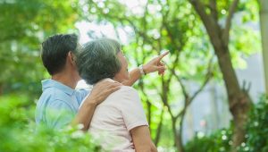 高齡者的旅遊錦囊