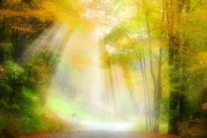 修行可以開啟智慧，超脫苦難