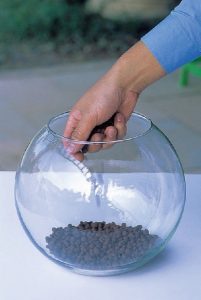 組合盆栽DIY步驟1