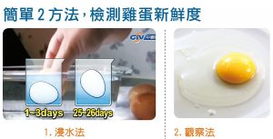 簡單2方法，檢測雞蛋新鮮度