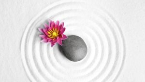 禪修釋疑：禪的圓滿智慧