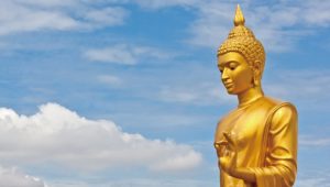 禪修QA：成就真善美的佛性