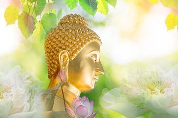 禪宗經典故事：臨濟義玄禪師—佛從無依生、無事是貴人