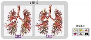 受測者肺部支氣管的能量變化圖