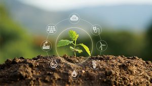 社會與環境:因應歐盟碳邊境稅免費排碳時代過去了