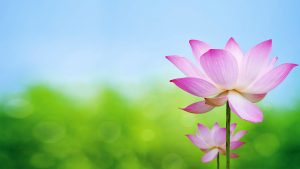 禪門學堂：何謂自性？何謂靈性？