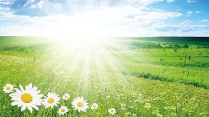 生活禪話：靈性永生佛國團圓