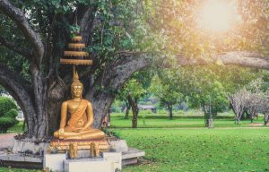 世尊在菩提樹下進入甚深禪定