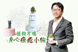 「植物方塊」身心療癒小物