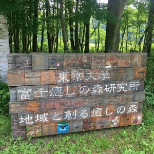 日本積極研究森林對人類健康所帶來的幫助。