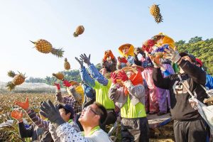 提高農民競爭力　再創富有農業經濟