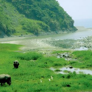 【來去花東】親水活力之旅：水璉牛山