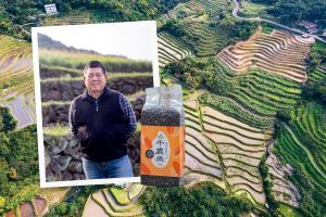 229-人文關懷：石門嵩山社區復耕百年石砌梯田
