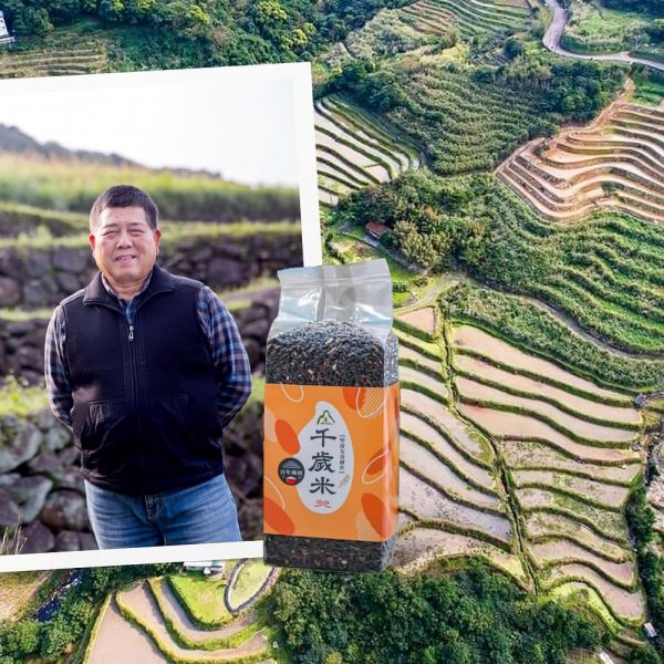 229-人文關懷：石門嵩山社區復耕百年石砌梯田