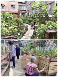 新北市永和區豫溪里
