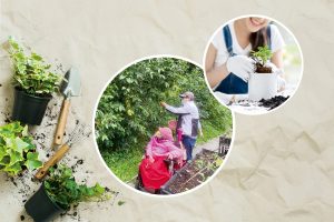 健康養生：園藝治療打開五感，療癒身心