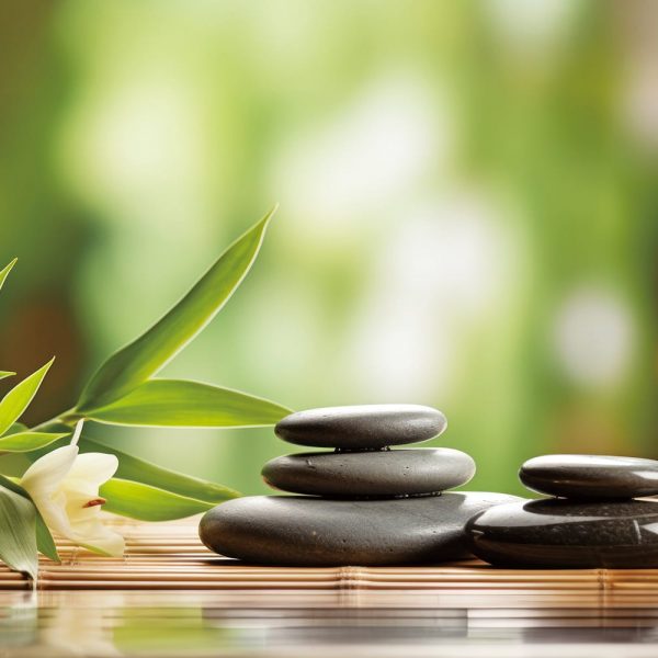 238富齡人生:人生第二個青春期　找到無我的密技