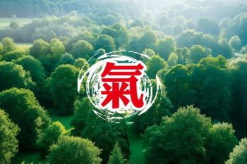 禪修釋疑：修禪可提升氣的轉化