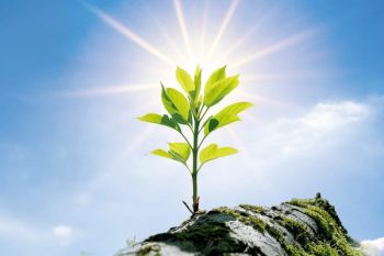 241禪修釋疑：修行要經得起考驗