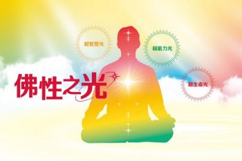 243地球佛國特別報導：學界醫界擁抱宇宙光能　佛性之光生根竹科