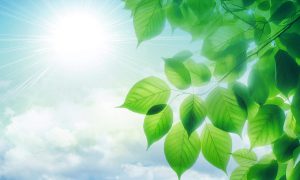 244禪修釋疑：一法清淨　一心解脫