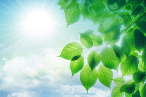 244禪修釋疑：一法清淨　一心解脫