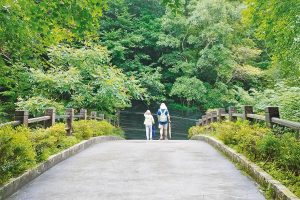 244健康養生：森林療癒師正夯