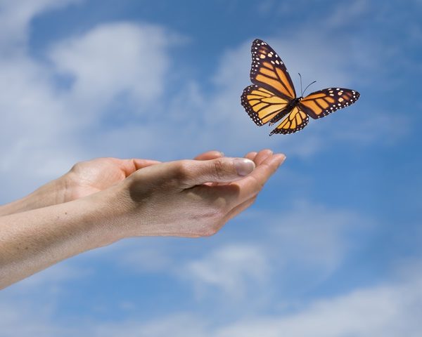 調伏嗔心 心定如山 如如不動
