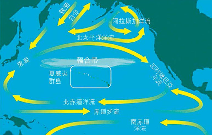 海洋垃圾會隨著海流移動，是全球性的問題。圖為太平洋洋流示意，中央白色輻合帶即為「海洋塑膠濃湯」形成區域。