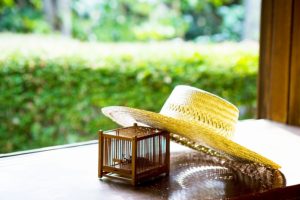 夏日