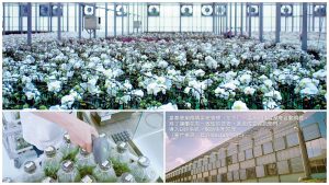 合作聯盟推動台灣品牌