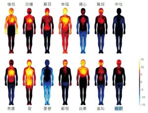 研究發現，人的體溫會隨情緒而變化