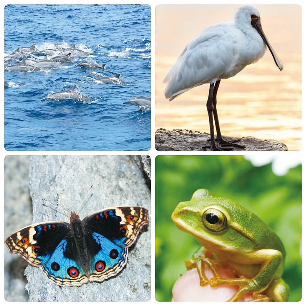 台灣有豐富的生態旅遊資源