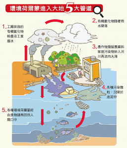 環境荷爾蒙進入大地5大管道