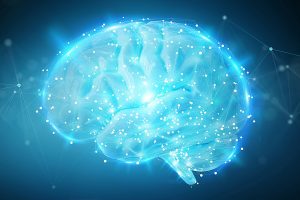 禪與科學：第三腦室，妙用無窮