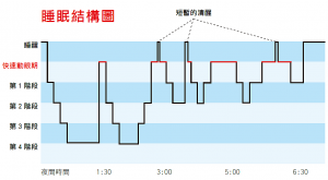 睡眠結構圖