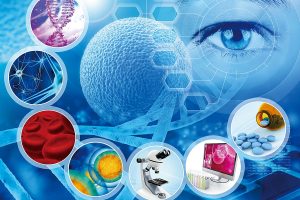 禪與科學：超生命禪不能以偽科學架框