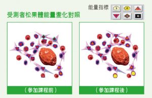 案例1：受測者松果體能量變化對照