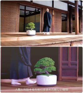 充滿禪意的盆栽會跟隨師父腳步在長廊移動