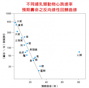 不同哺乳類動物心跳速率預期壽命之反向線性回歸曲線