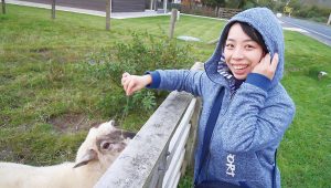 禪修見證：禪修助我在職場大放異彩