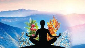 生活禪話：三季人的故事